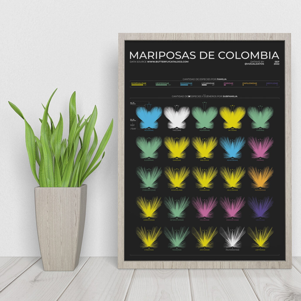 Cuadro Mariposas de Colombia